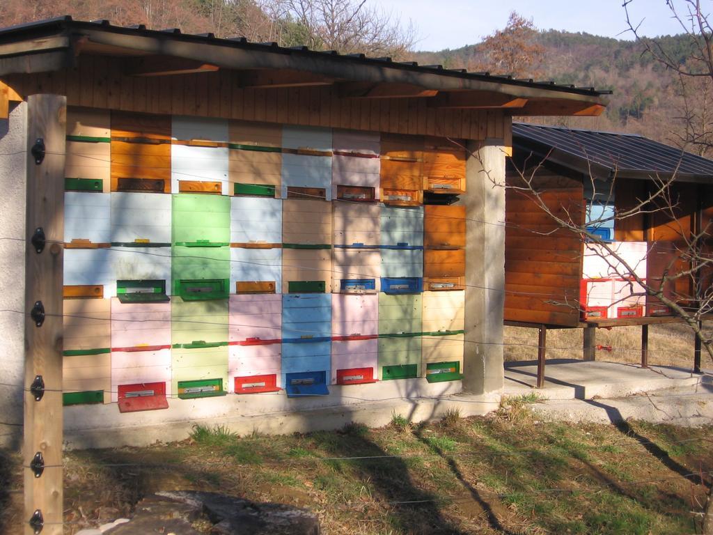 Guest House Roze Ilirska Bistrica Ngoại thất bức ảnh